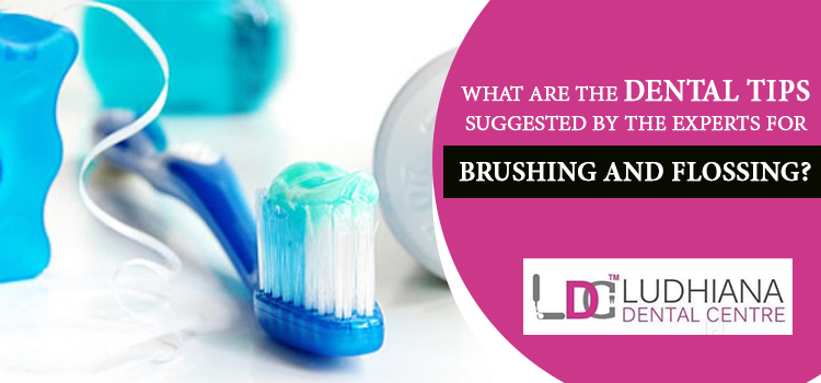 What are the dental tips suggested by the experts for brushing and flossing?