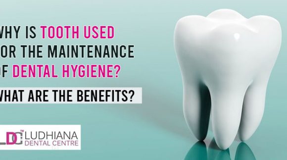 Why is tooth used for the maintenance of dental hygiene? What are the benefits?